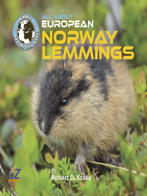 cover image of All About the Norway Lemmings